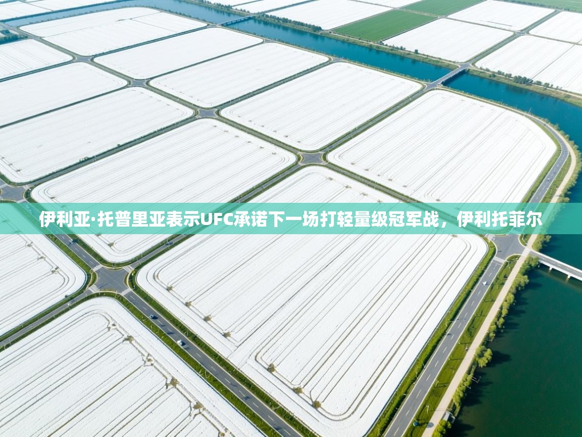 伊利亚·托普里亚表示UFC承诺下一场打轻量级冠军战,伊利托菲尔 第2张