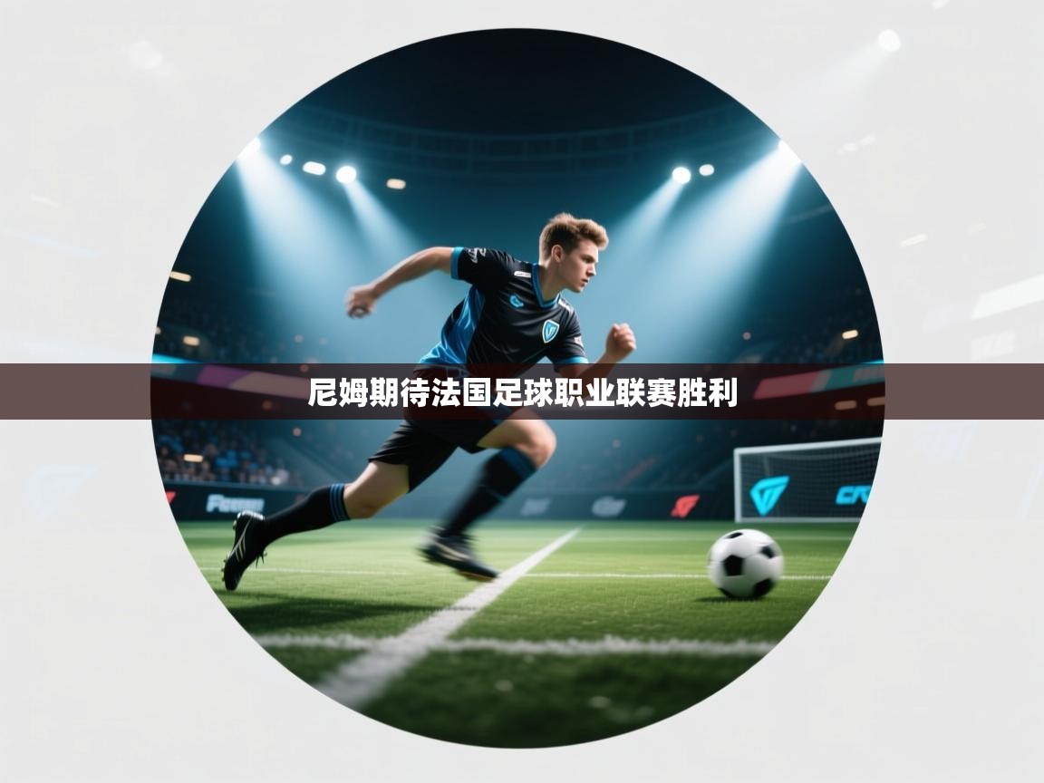 尼姆期待法国足球职业联赛胜利  第2张